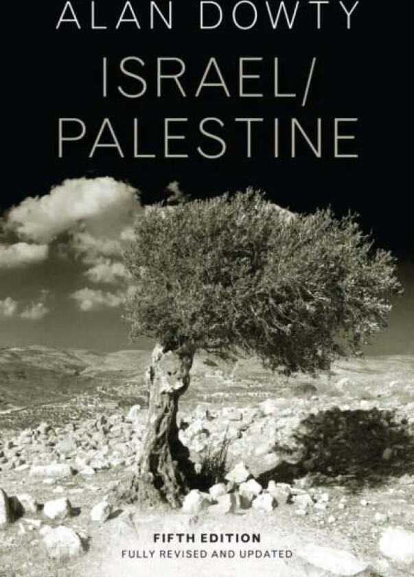Israel/Palestine, 5th Edition av A Dowty