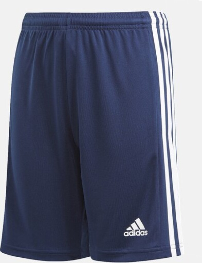 adidas Squadra 21 Short, fotballshorts, junior Team Navy Blue/white