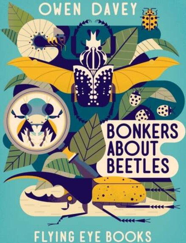 Bonkers About Beetles av Owen Davey