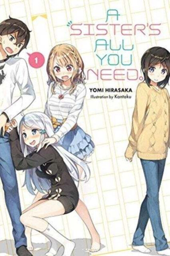 A Sister's All You Need., Vol. 1 (light novel) av Yomi Hirasaki