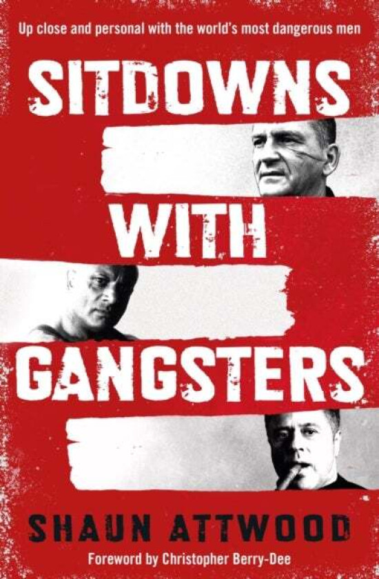 Sitdowns with Gangsters av Shaun Attwood