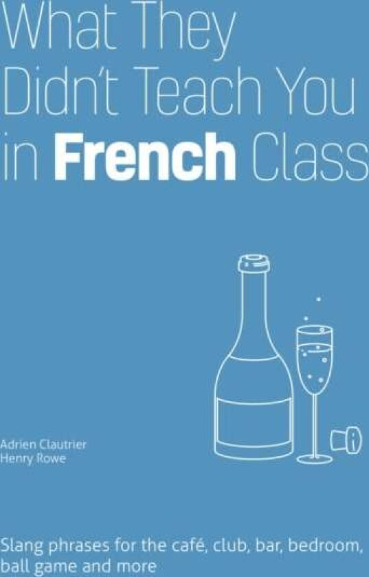 What They Didn't Teach You In French Class av Adrien Clautrier, Henry Rowe