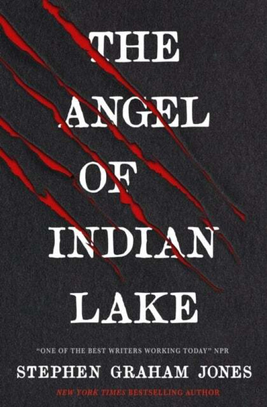 The Angel of Indian Lake av Stephen Graham Jones