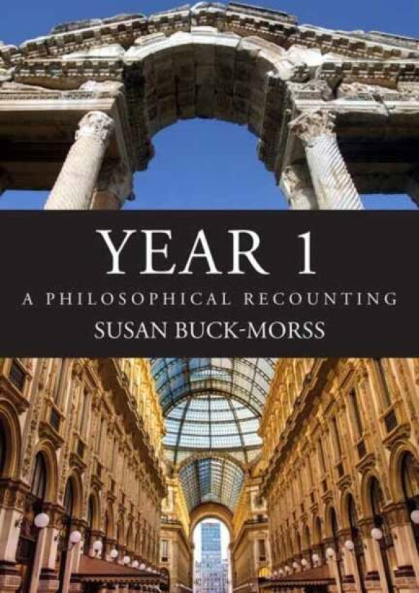 Year 1 av Susan Buck-Morss