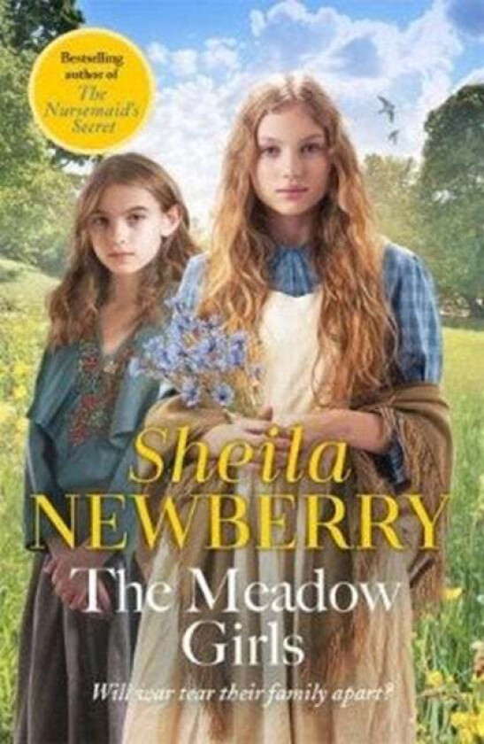 The Meadow Girls av Sheila Everett, Sheila Newberry