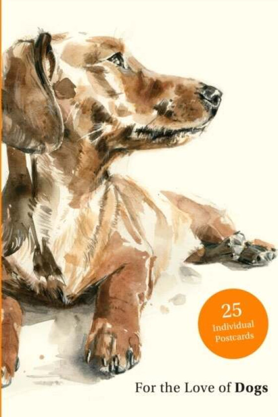 For the Love of Dogs: 25 Postcards av Ana Sampson