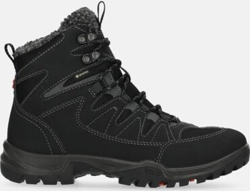 Xpedition III Gore-Tex Støvler Dame Black 41