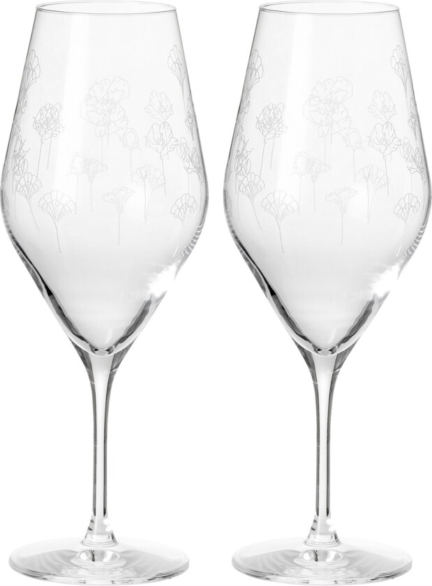 Flower champagneglass, 2 stk