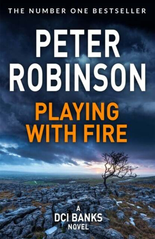 Playing With Fire av Peter Robinson