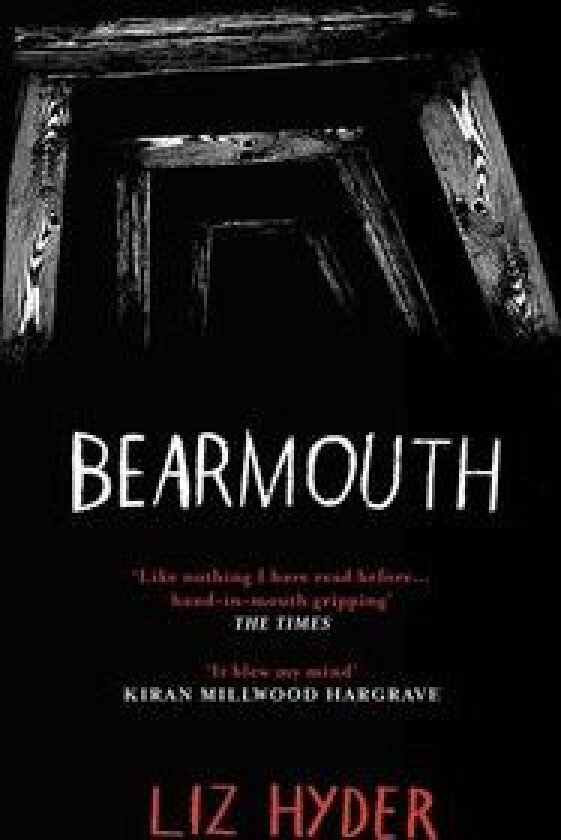 Bearmouth av Liz Hyder
