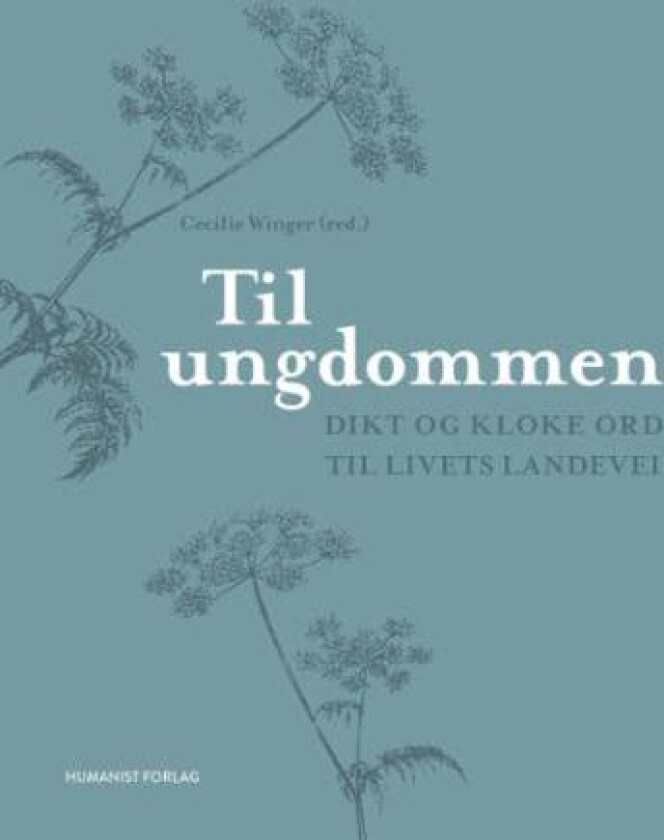 Til ungdommen