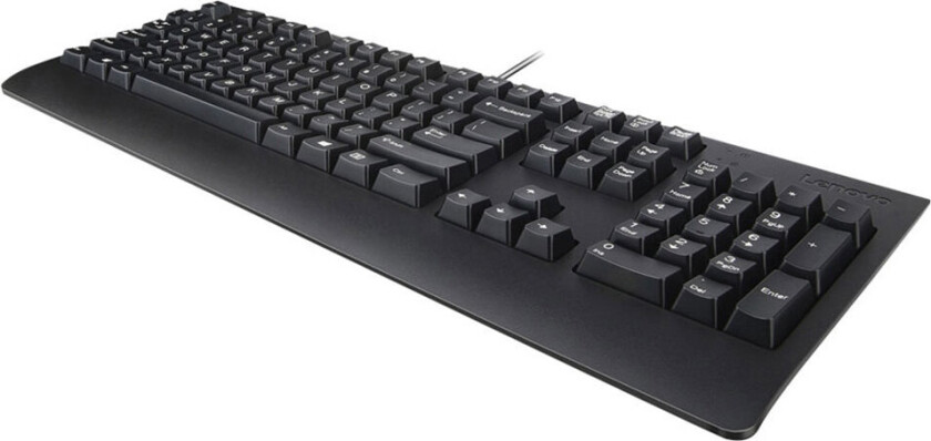 Preferred Pro II - Tastatur - USB - QWERTY - Nordisk - svart - FRU