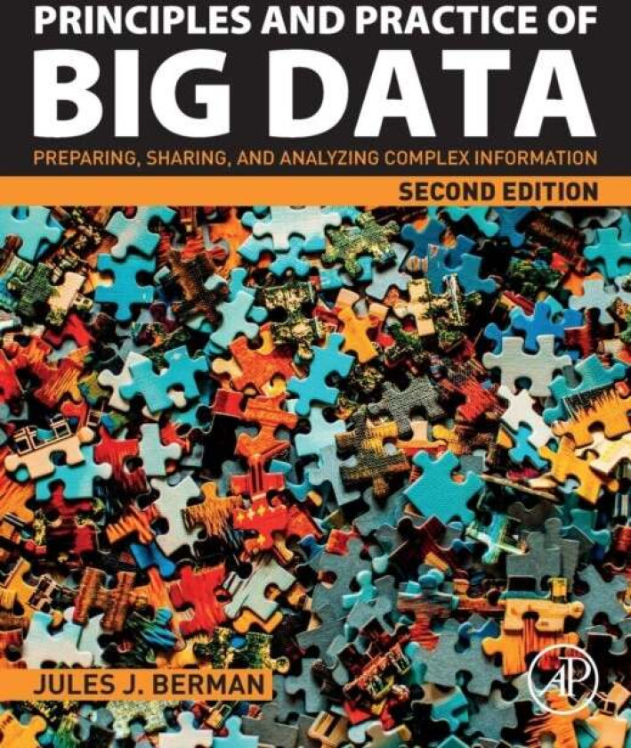 Principles and Practice of Big Data av Jules J. (Freelance author with expertise in informatics computer programming and cancer biology) Berman