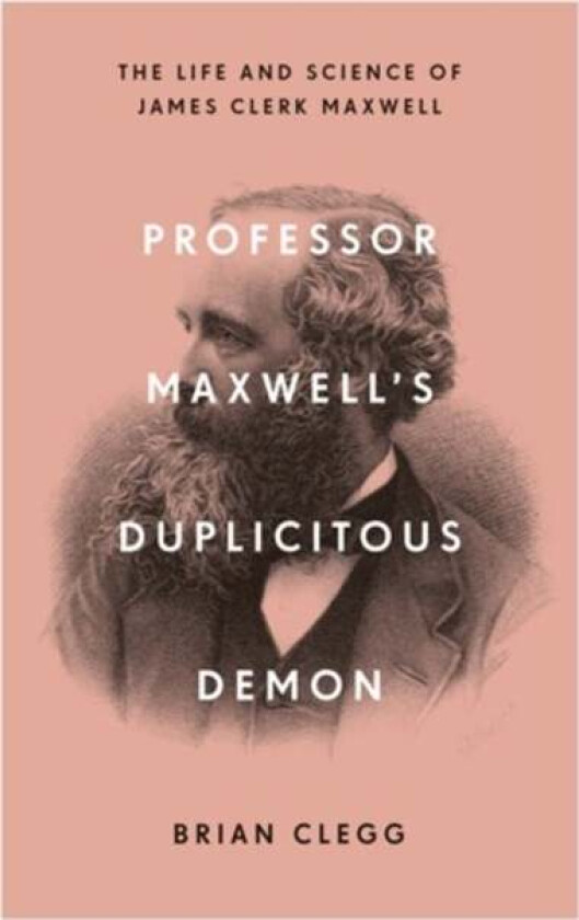 Professor Maxwell&#039;s Duplicitous Demon av Brian Clegg