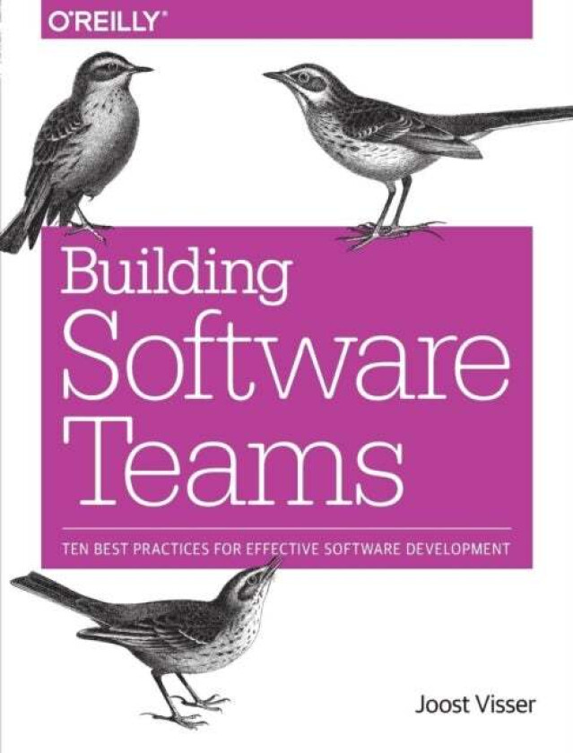 Building Software Teams av Joost Visser, Sylvan Rigal, Gijs Wijnholds, Zeeger Lubsen