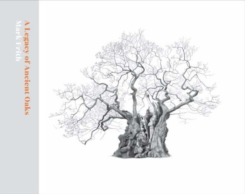 A Legacy of Ancient Oaks av Mark Frith