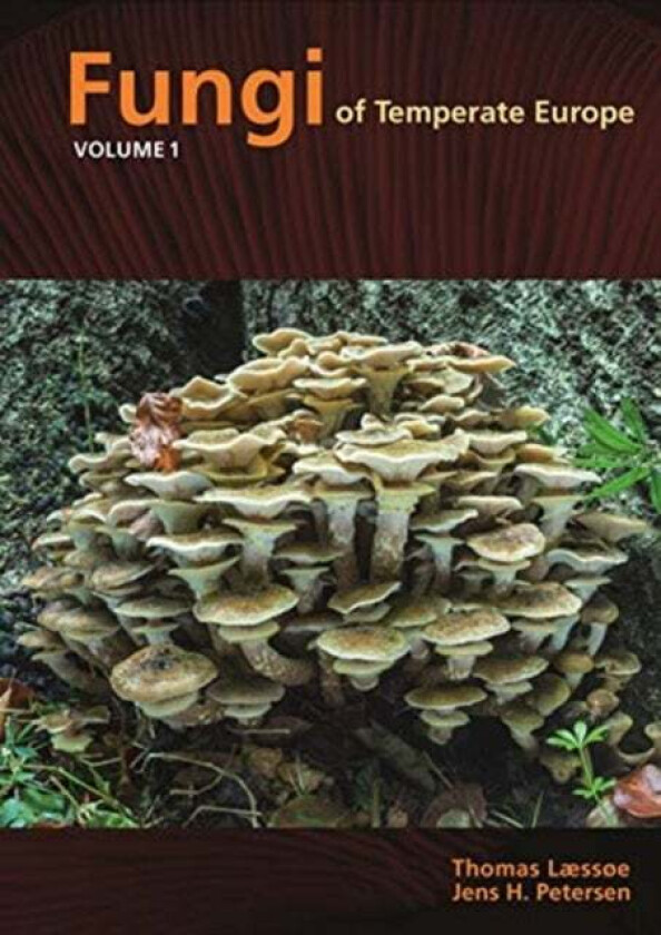 Bilde av Fungi of Temperate Europe av Thomas Laessoe, Jens H. Petersen