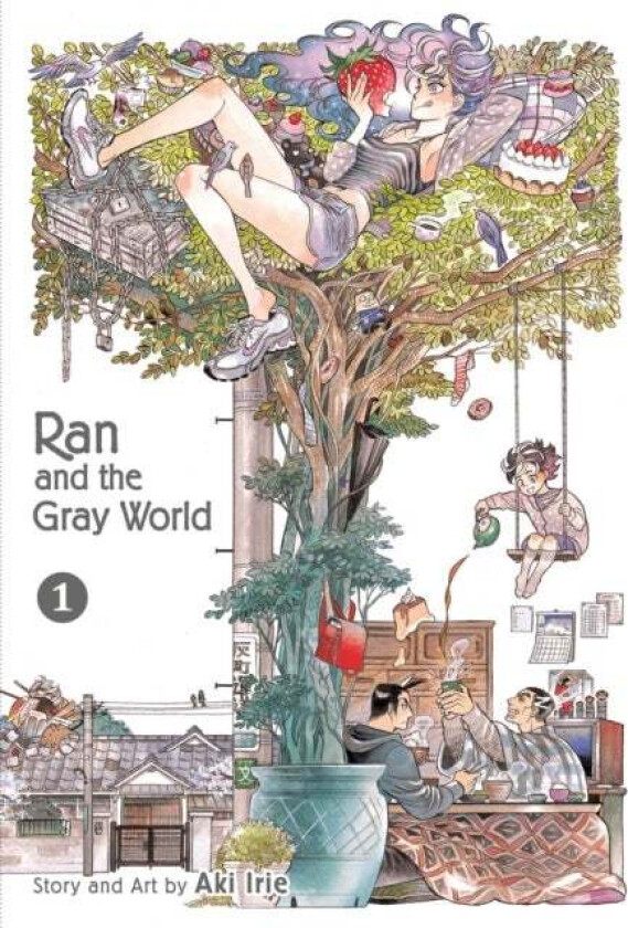 Ran and the Gray World, Vol. 1 av Aki Irie