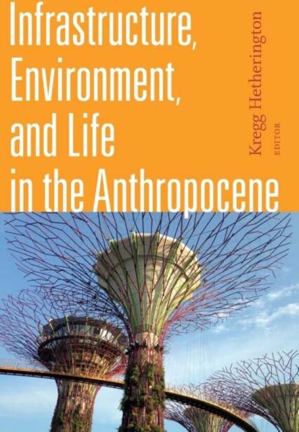 Infrastructure, Environment, and Life in the Anthropocene
