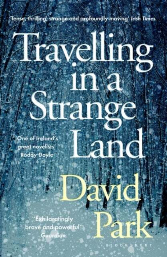 Travelling in a Strange Land av David Park