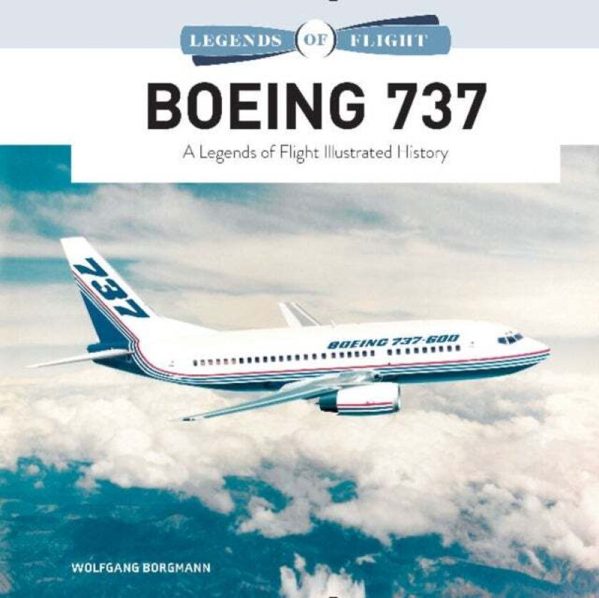 Boeing 737 av Wolfgang Borgmann