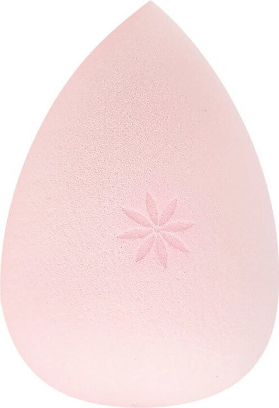 Complexion Sponge