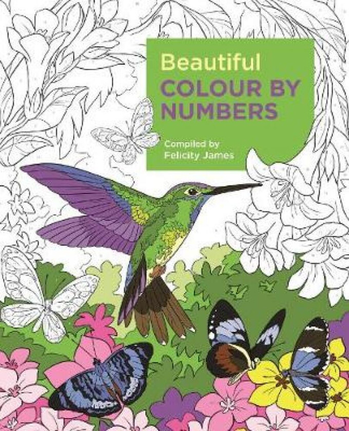 Beautiful Colour by Numbers av Felicity James