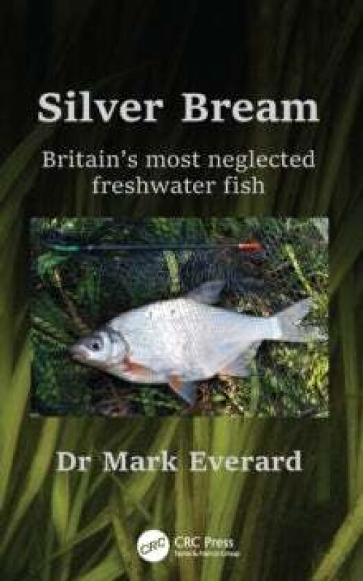 Silver Bream av Mark (University of the West of England UK) Everard