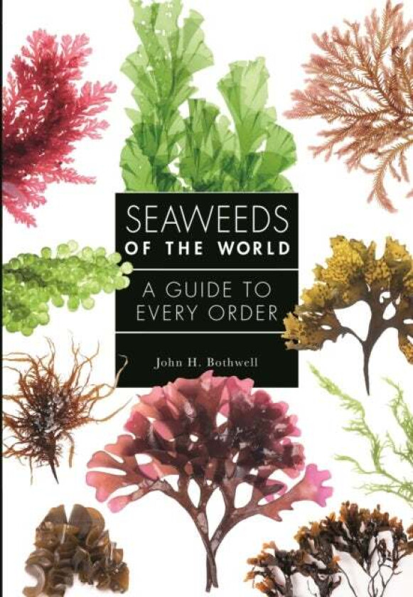 Seaweeds of the World av John Bothwell