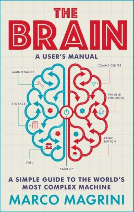 The Brain: A User's Manual av Marco Magrini