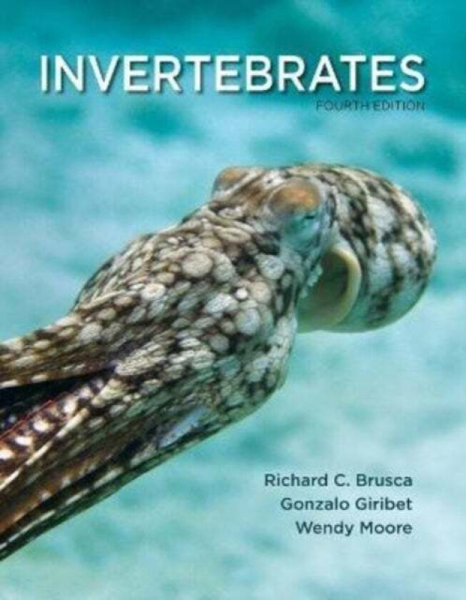 Invertebrates av Richard C. ( University of Arizona) Brusca, Gonzalo ( Harvard University) Giribet, Wendy ( University of Arizona) Moore