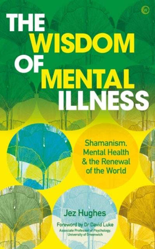 The Wisdom of Mental Illness av Jez Hughes
