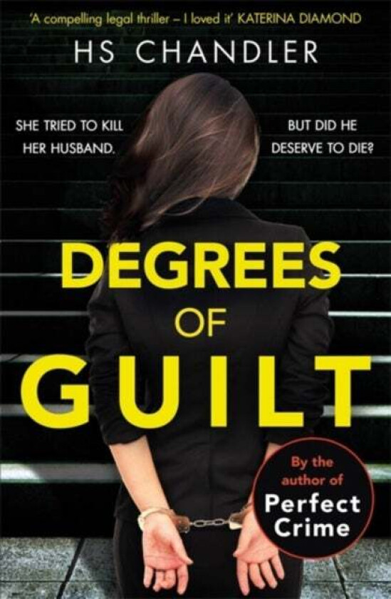 Degrees of Guilt av HS Chandler, Helen Fields