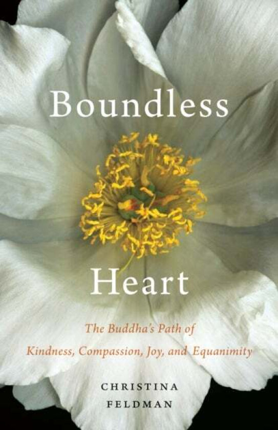 Boundless Heart av Christina Feldman