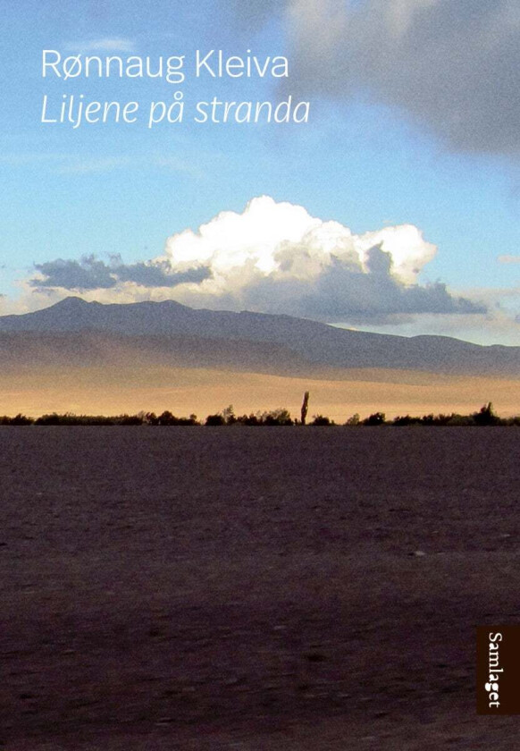 Liljene på stranda av Rønnaug Kleiva
