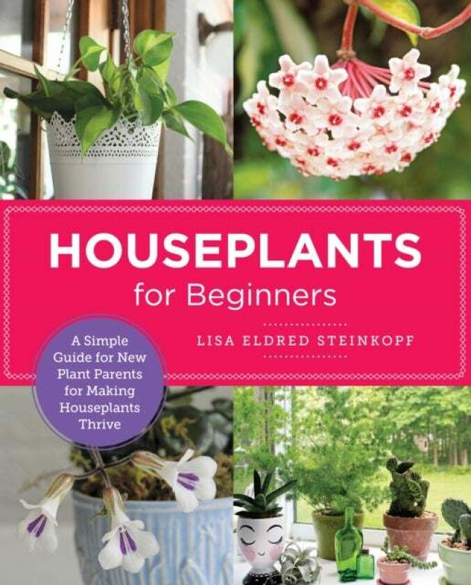 Houseplants for Beginners av Lisa Eldred Steinkopf