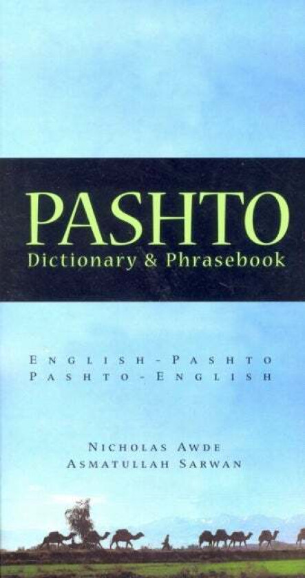 Pashto-English / English-Pashto Dictionary & Phrasebook av Nicholas Awde
