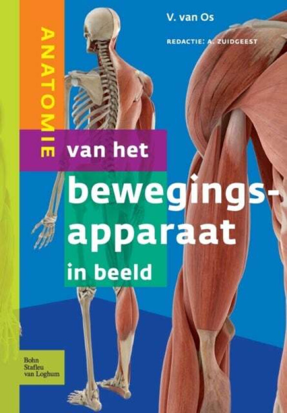 Anatomie Van Het Bewegingsapparaat in Beeld av V Van Os