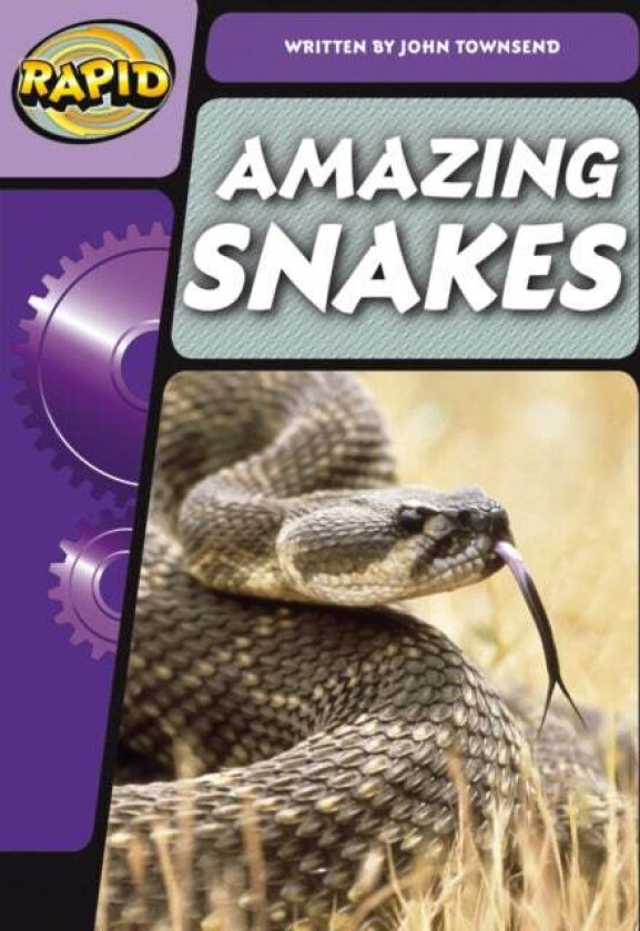 Rapid Phonics Step 3: Super Snakes (Non-fiction) av John Townsend