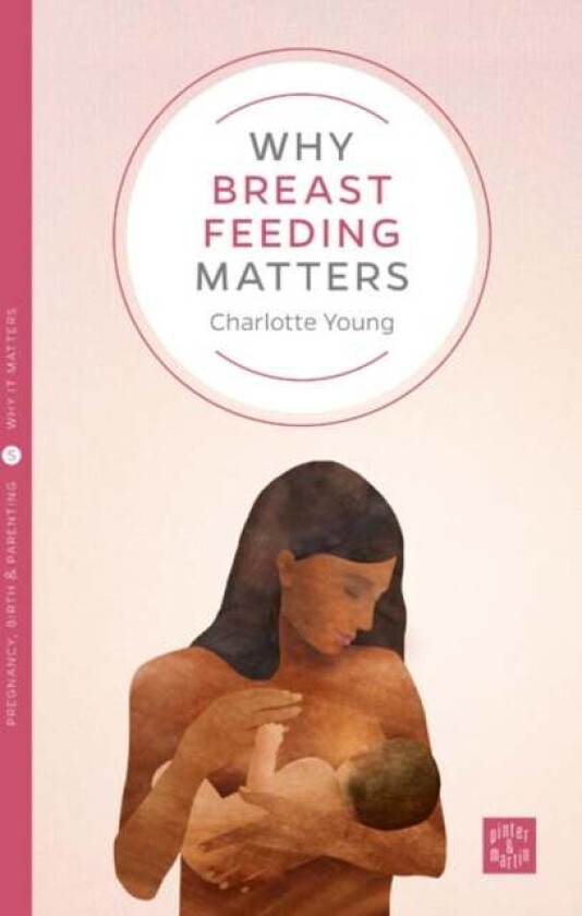 Why Breastfeeding Matters av Charlotte Young