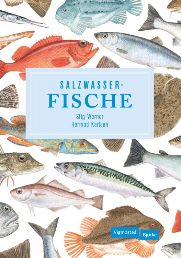 Salzwasserfische av Stig Werner