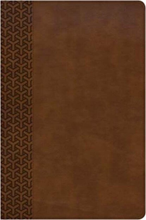 CSB Everyday Study Bible, British Tan LeatherTouch av CSB Bibles by Holman CSB Bibles by Holman