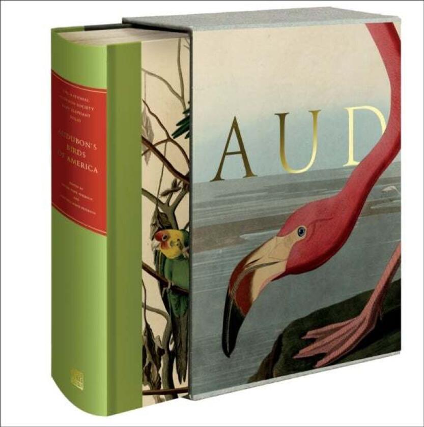 Audubon's Birds of America av Roger Tory Peterson, Virginia Marie Peterson
