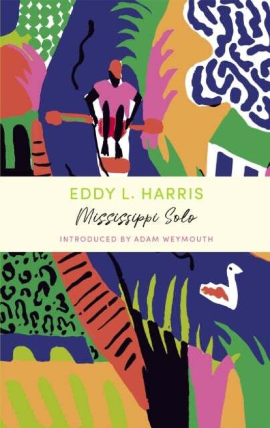 Mississippi Solo av Eddy L Harris