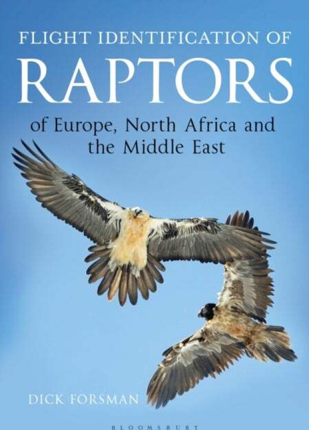 Flight Identification of Raptors of Europe, North Africa and the Middle East av Dick Forsman