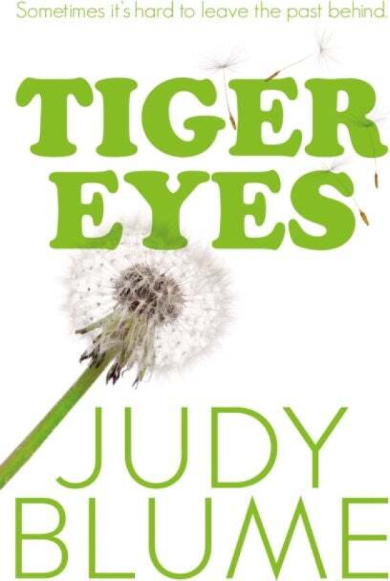 Tiger Eyes av Judy Blume