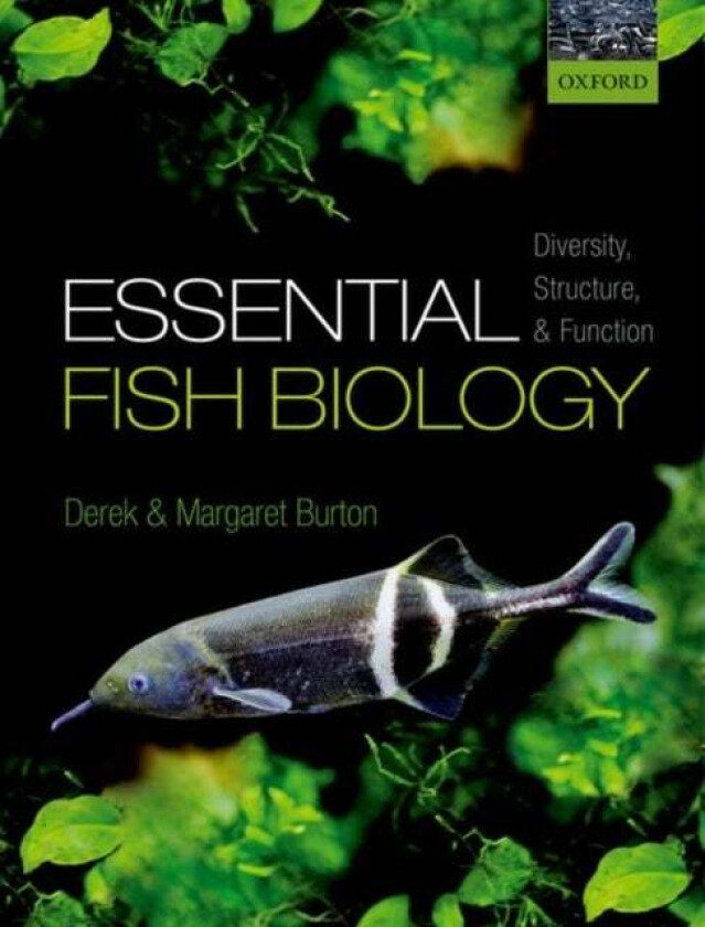 Essential Fish Biology av Derek (Professor Emeritus Professor Emeritus Department of Biology Memorial University of Newfoundland Canada) Burton, Marga