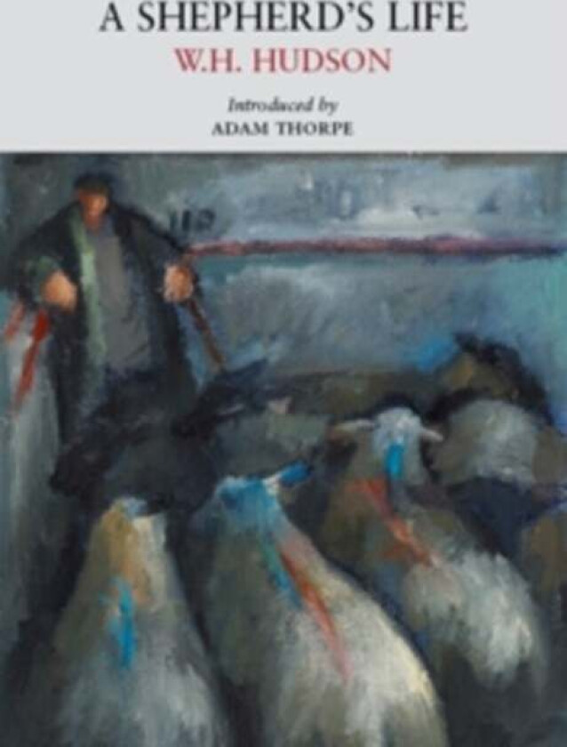 A Shepherd's Life av W. H. Hudson