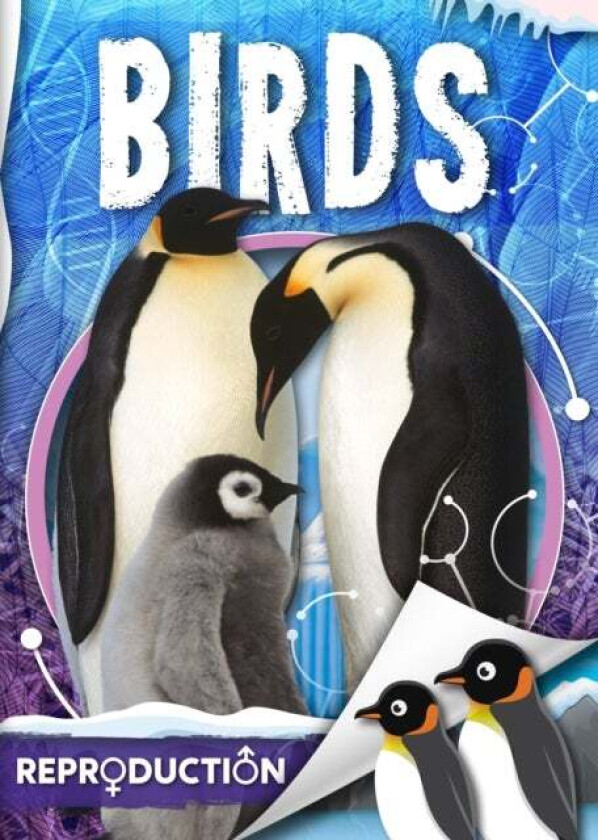 Birds av Joanna Brundle