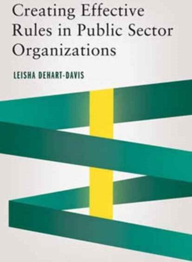 Creating Effective Rules in Public Sector Organizations av Leisha DeHart-Davis